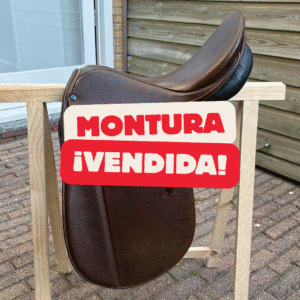 montura stubben aramis